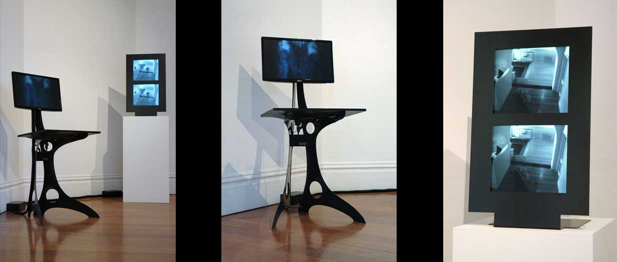 Images of Shiver and Disappear at Artereal Gallery